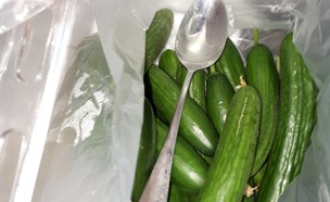 מלפפונים (צילום: טלי מונוסון)