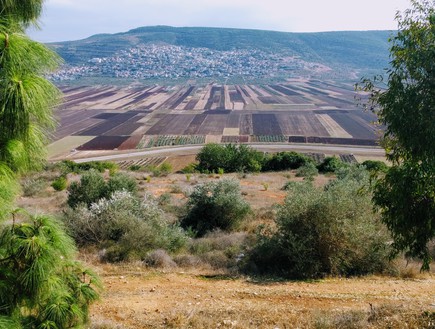 בקעת בית נטופה תצפית מאבטליון (צילום: נגה משל)