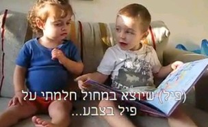 פילים בכל הצבעים (צילום: עפר גדנקן)