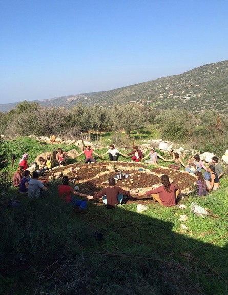 גינה בקהילה (צילום: אלבום פרטי)