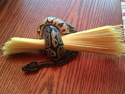 Life hacks Life hacks