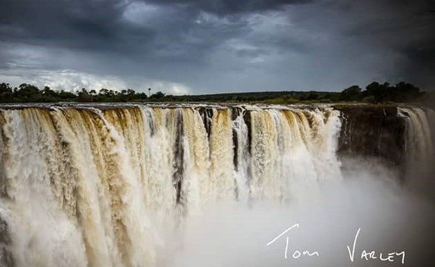 הטבע המטורף של זימבבואה (צילום: טום וארלי)