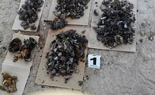 שרידי הגופות שנמצאו במסיקו (צילום: מתוך התקשורת במקסיקו)