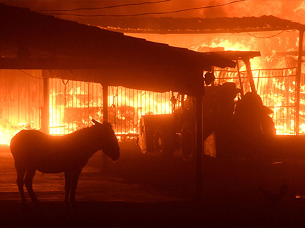 שריפות ענק בקליפורניה (צילום: Sky News)