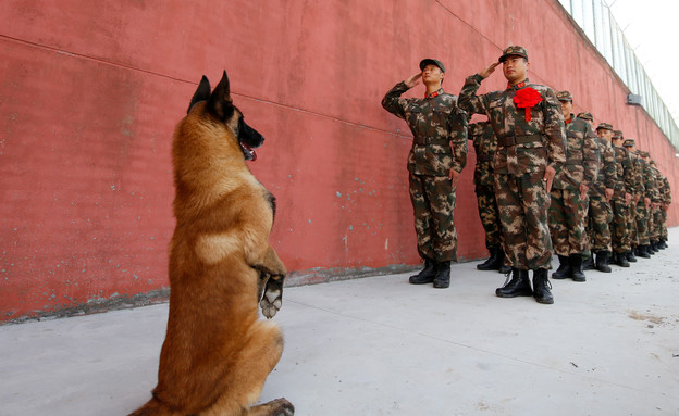 כלב וחיילים (צילום: רויטרס)