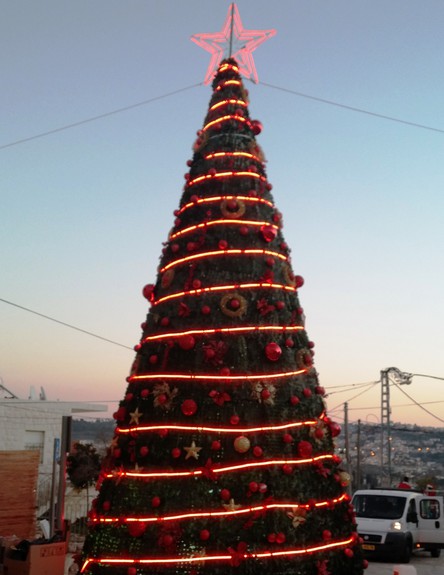 עץ חג המולד בפסוטה (צילום: יחצ)