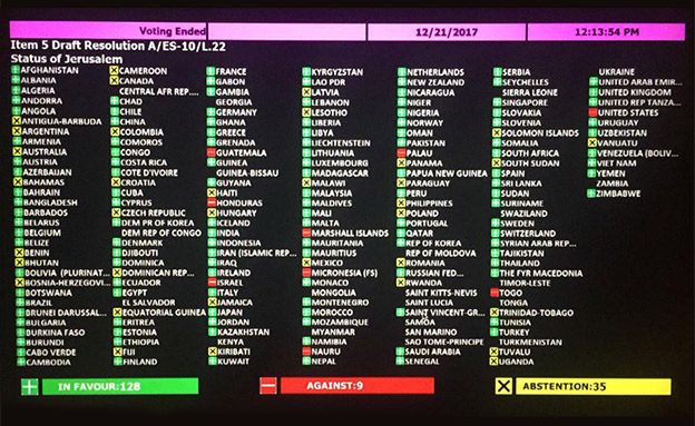 תוצאות ההצבעה אמש (צילום: U.N.)