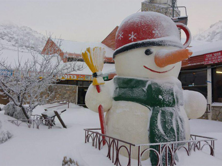 שלג באתר החרמון (צילום: חדשות 2)