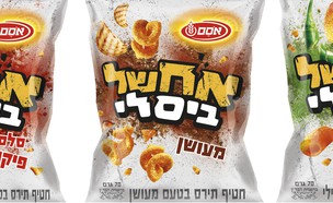 אח של ביסלי  (צילום: סטודיו אסם, יחסי ציבור)