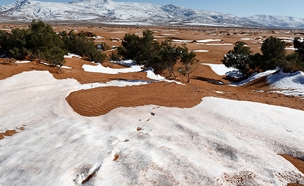 צפו בגולשי השלג במדבר הסהרה (צילום: רויטרס)