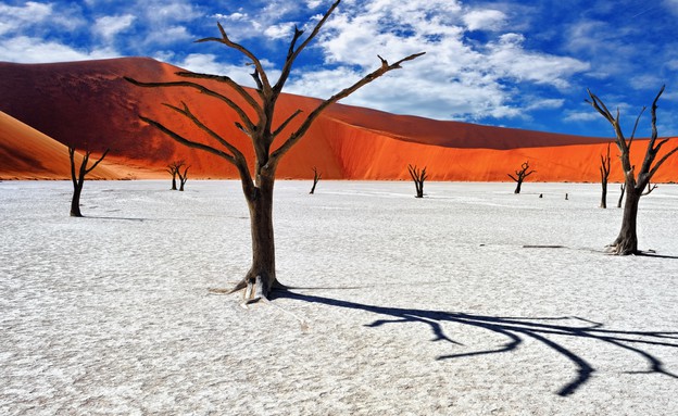 מדבר נמיד (צילום: Oleg Znamenskiy, shutterstock)