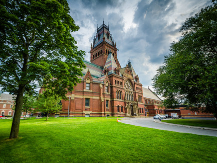 Harvard University (צילום: shutterstock)