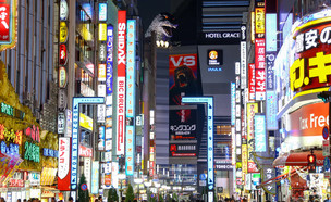 Tokyo Night Life (צילום: By Dafna A.meron, shutterstock)