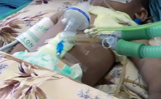 נידל בייבי נידל בייבי