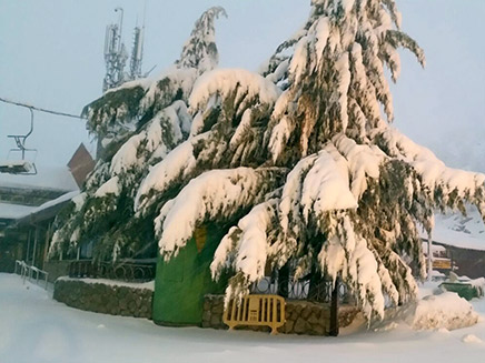 שלג באתר החרמון (צילום: אתר החרמון)