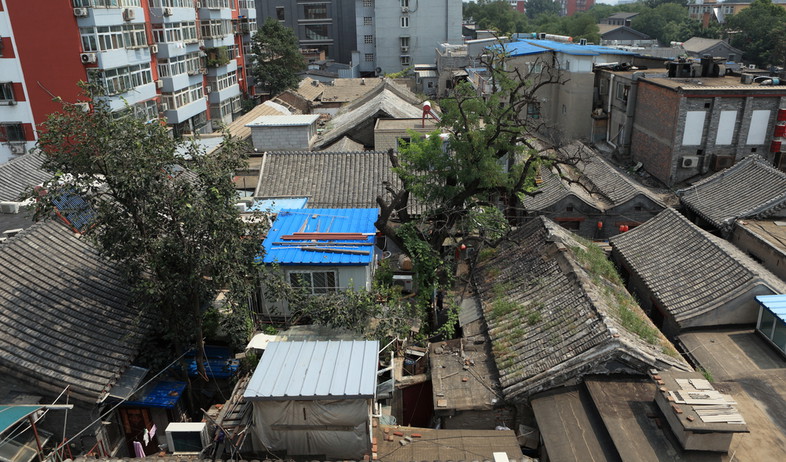 שכונת חוטונג בבייג'ינג, סין (צילום: שאטרסטוק)