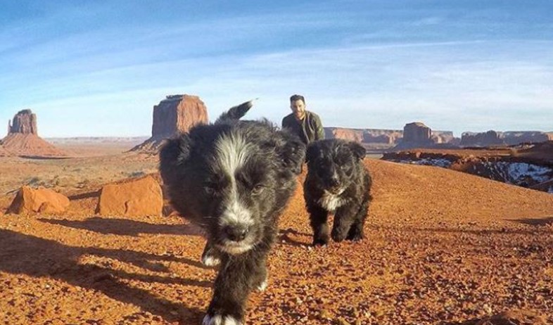 מטייל עם כלבים (צילום: Jordan Kahana, מתוך instagram)
