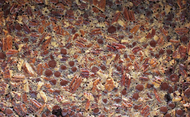 ריבועי שוקולד ופקאנים - לפני החיתוך