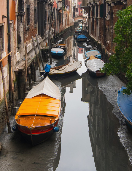נהר ונציה המיובש (צילום: getty images)