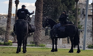 שוטרים ליד שער שכם בירושלים (צילום: חדשות 2)