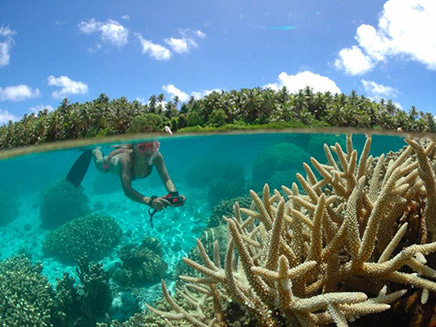 איי מרשל אלמוגים (צילום: Raycrew)