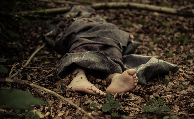 גופה ביער (צילום: shutterstock/Jan H Andersen)