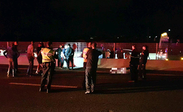 זירת התאונה בכביש 2, אמש (צילום: דוברות מד