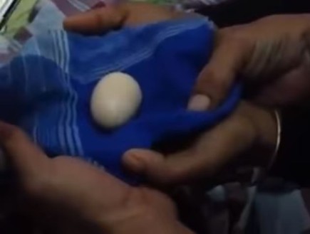ביצה קשה (צילום: Youtube/Weirdo Channelz)