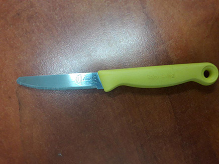 סכין  (צילום: דוברות המשטרה)
