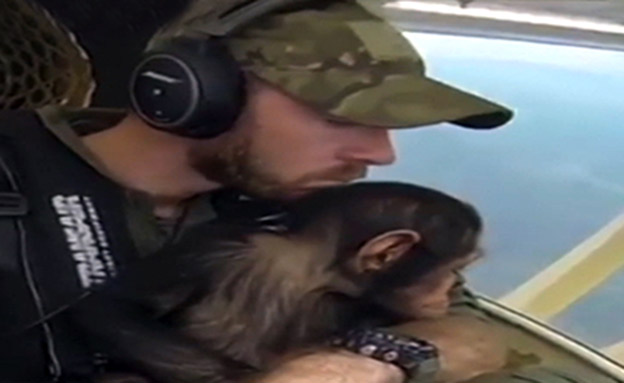 צפו: גור הקופים שחולץ בתא הטייס (צילום: sky news)