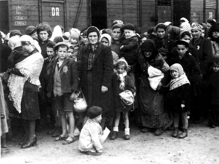חוק השואה הפולני נאכף בפעם הראשונה (צילום: Bundesarchiv, Bild)