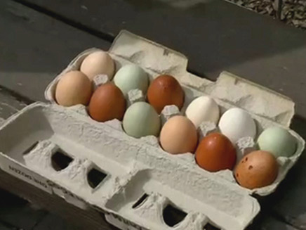 ביצים כחולות? (צילום: ENEX‎)
