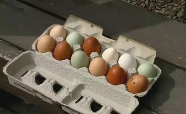 Are brown eggs really healthier than whites?