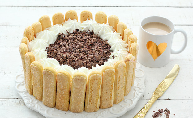 עוגת בישקוטים ופודינג שוקו-וניל - סגורה (צילום: ענבל לביא, אוכל טוב)