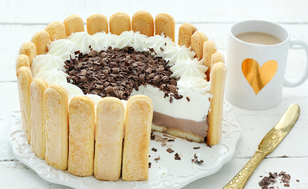 עוגת בישקוטים ופודינג שוקו-וניל - פתוחה