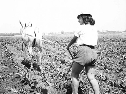 חריש בשדה, 1940 (צילום: זלוטן קלוגר, ארכיון המדינה)