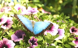 רויטרס (צילום: רויטרס)