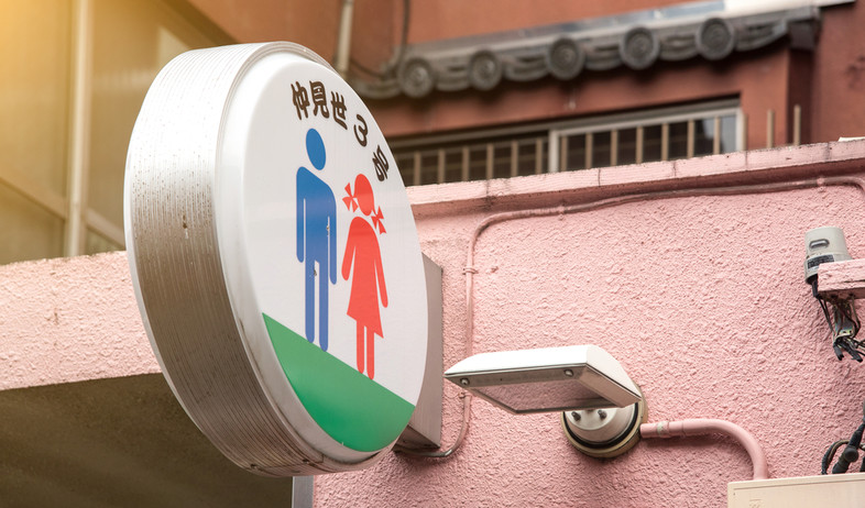 שירותים ציבוריים ביפן (צילום: שאטרסטוק)