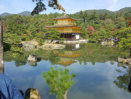 מקדש הזהב בקיוטו (צילום: גיורא ברנט)