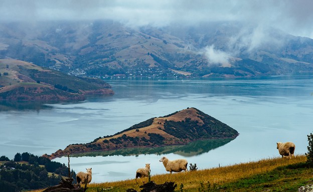 ניו זילנד, המדינה הבטוחה ביותר בעולם (צילום: עדי פרץ)