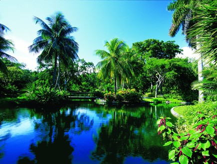 איי הבהאמה (צילום: יחצ)