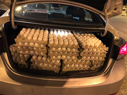 הביצים שנתפסו לפני הברחתן לישראל (צילום: דוברות משטרה)