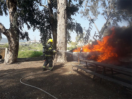 יער בית שמש, היום (צילום: כבאות והצלה)