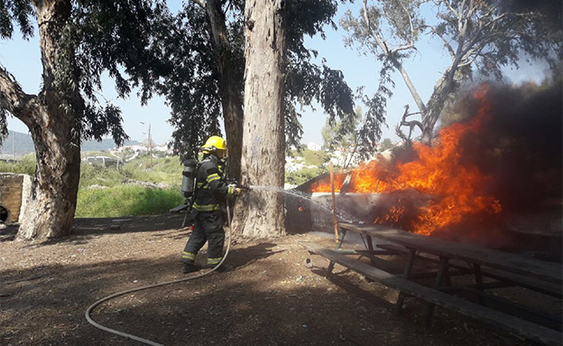 יער בית שמש, היום (צילום: כבאות והצלה)