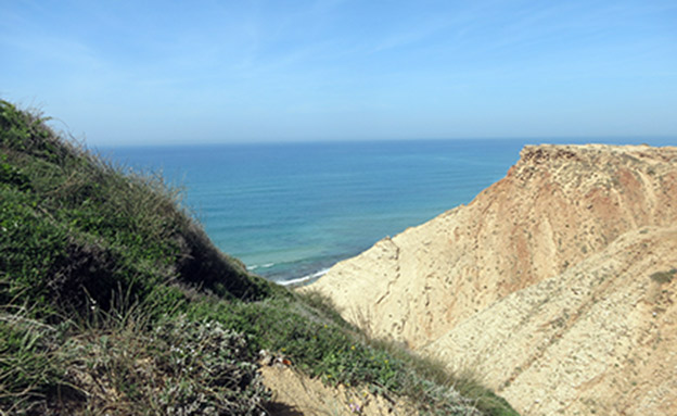 מצוקי הכורכר באזור השרון (צילום: צביקה זייד, עמותת אקואושן)