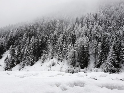 איטליה בחורף (צילום: מעיין רייכמן)