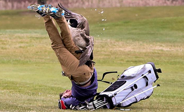חשבתם שגולף משעמם? (צילום: CNN)