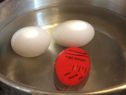 טיימר לביצה, קיצ'ן קראפט (צילום: מירי צל דונטי, mako אוכל)