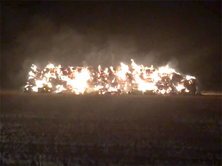 חשד להצתה גם בקיבוץ אפיקים