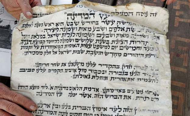המגילה שהסתתרה בין השורשים (צילום: דוברות המועצה האזורית עמק הירדן)